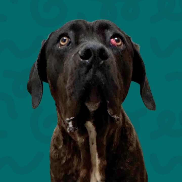 Leroy 1