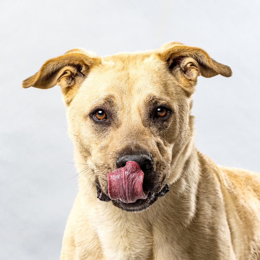 Chico