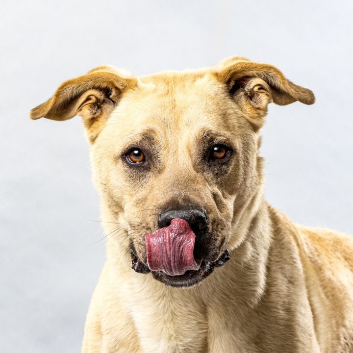 Chico 4