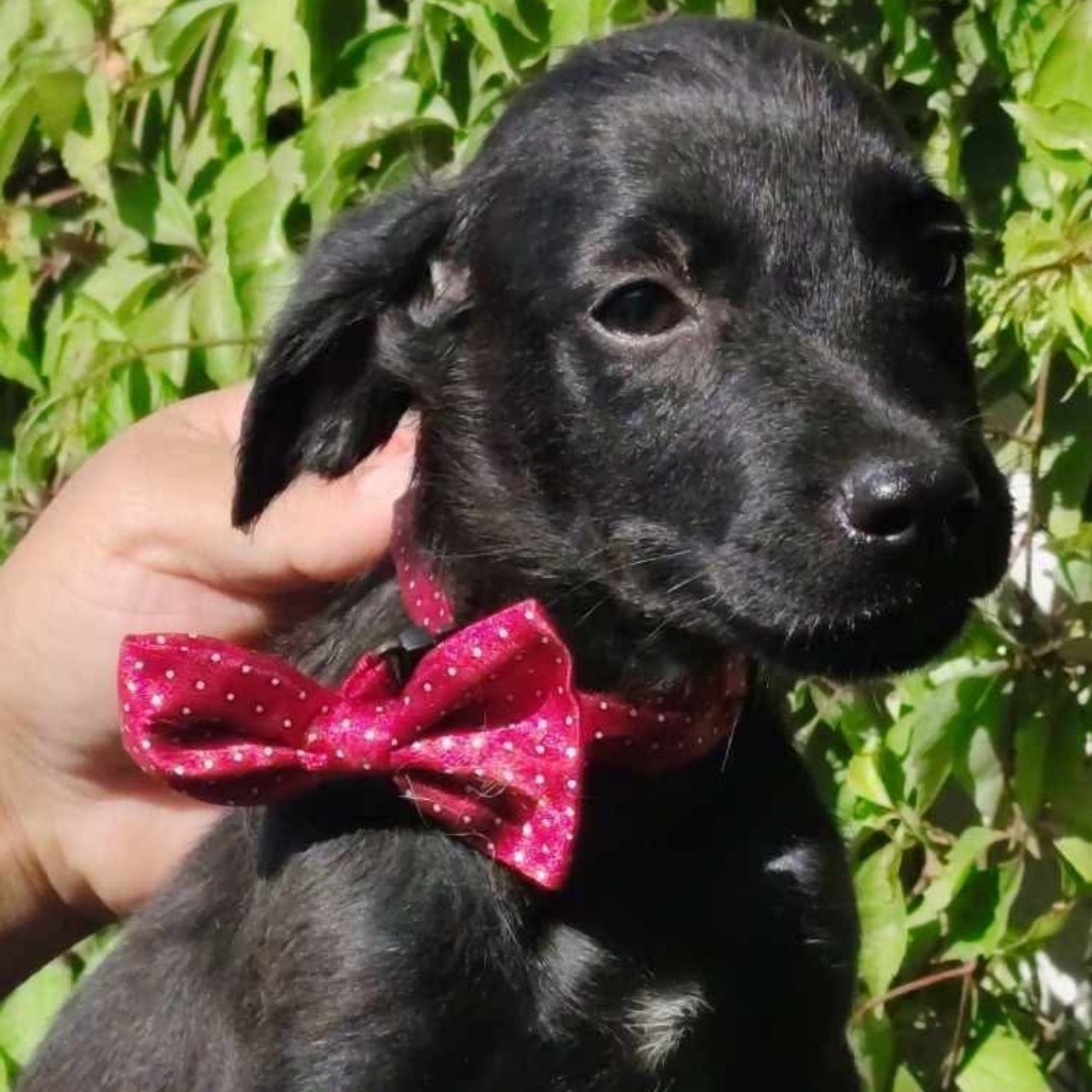 Marco