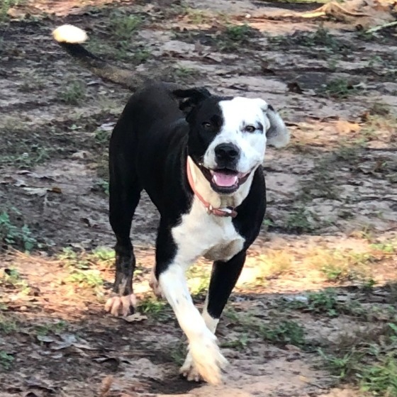 Molly