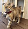 Butters photo 6