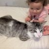 Millicent photo 4