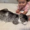 Millicent photo 6