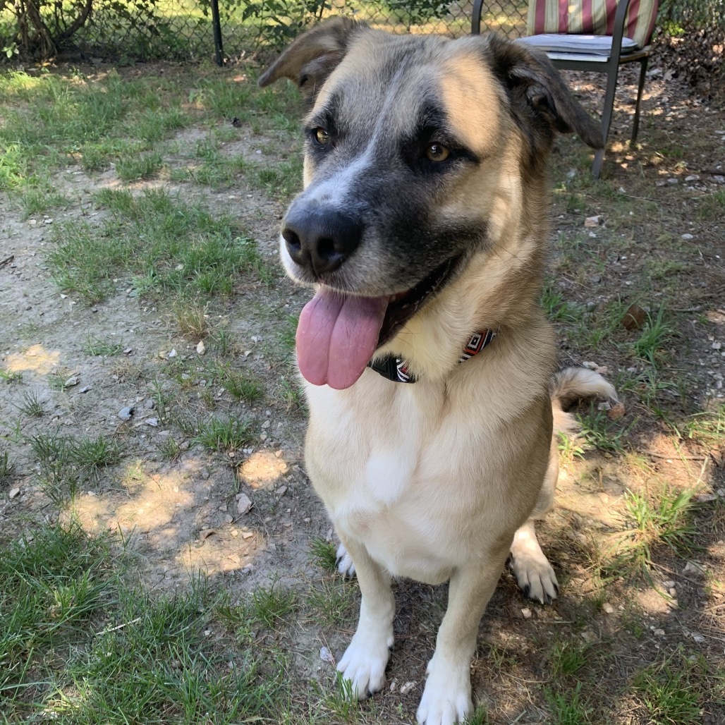 Duke
