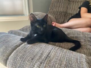 Milo