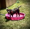 Eloise photo 2