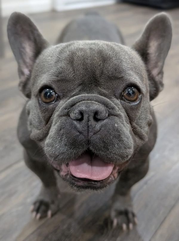 Mimi Aka Large Marge