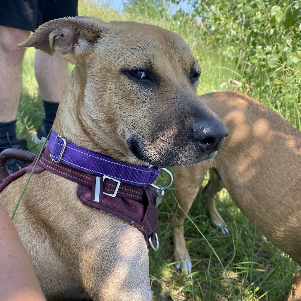 Fiona