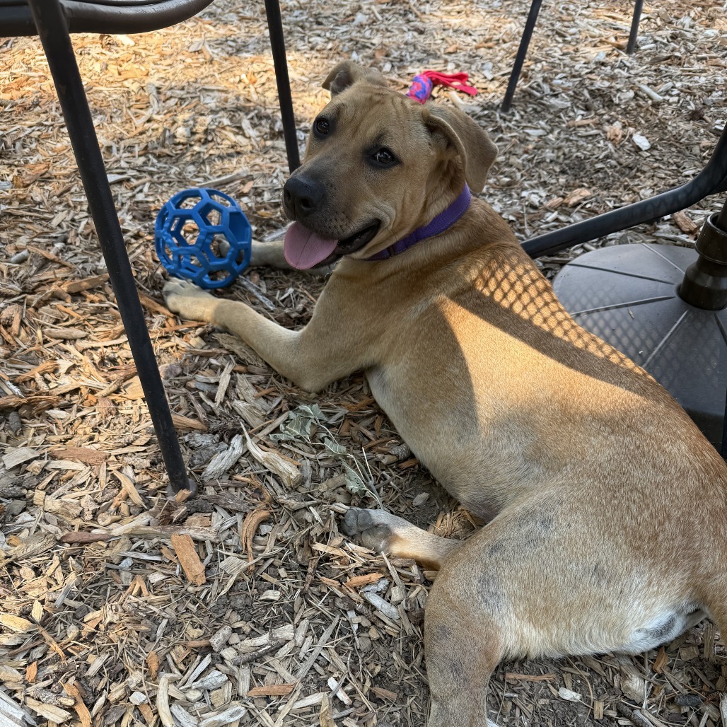 Fiona