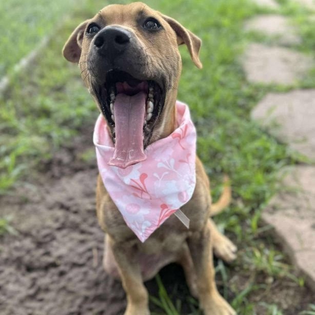 Fiona