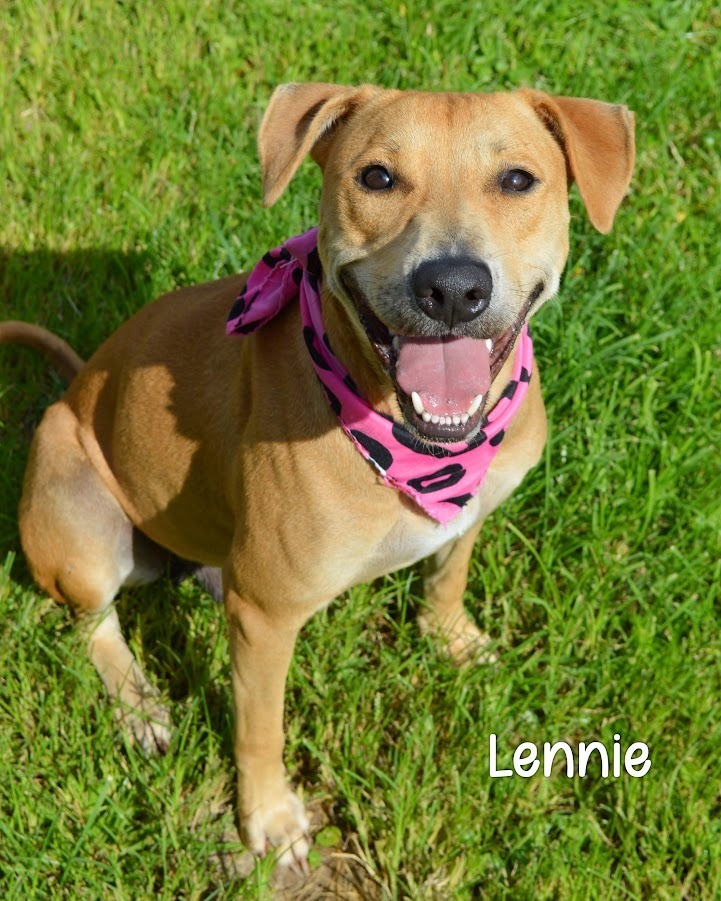Lennie