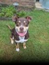 Otis photo 1