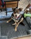 Otis photo 2