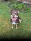 Otis photo 2