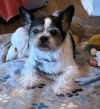 Eddy Freddy photo 3