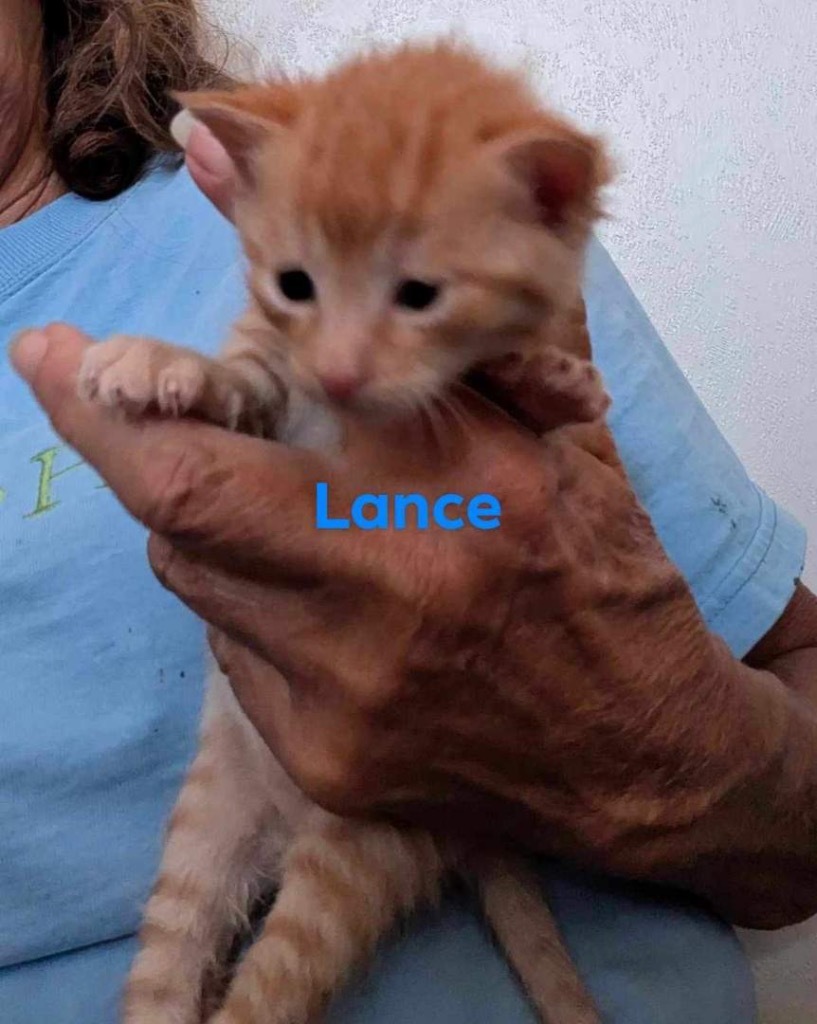 Lance