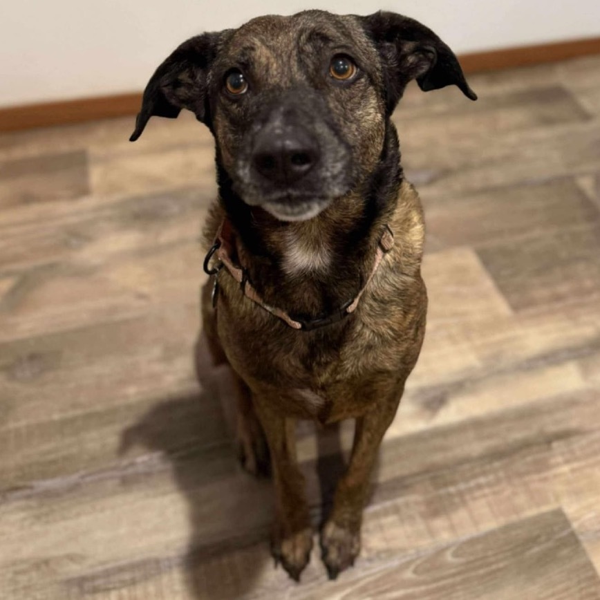 Roscoe