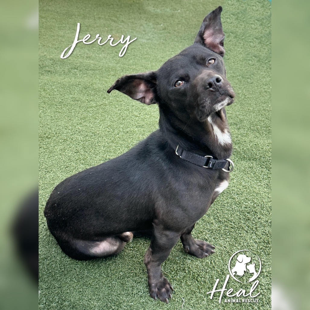 Jerry