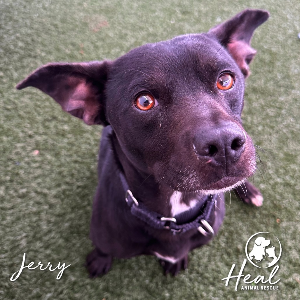 Jerry