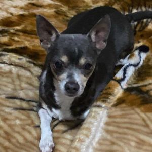 Paty, Senior Female unknown