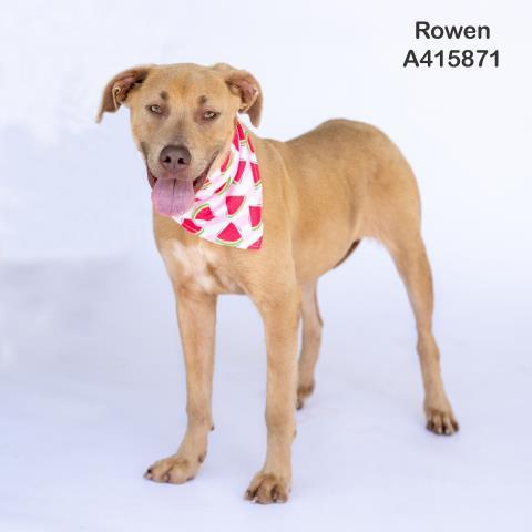 ROWAN