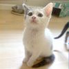 Maisy photo 2