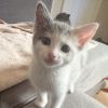 Maisy photo 4