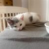 Maisy photo 5