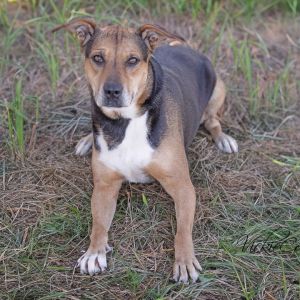 Ana, Adult Female unknown