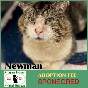 Newman, Adult Male unknown