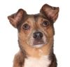 Jethro photo 1