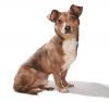 Jethro photo 3