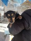 Shirley photo 1