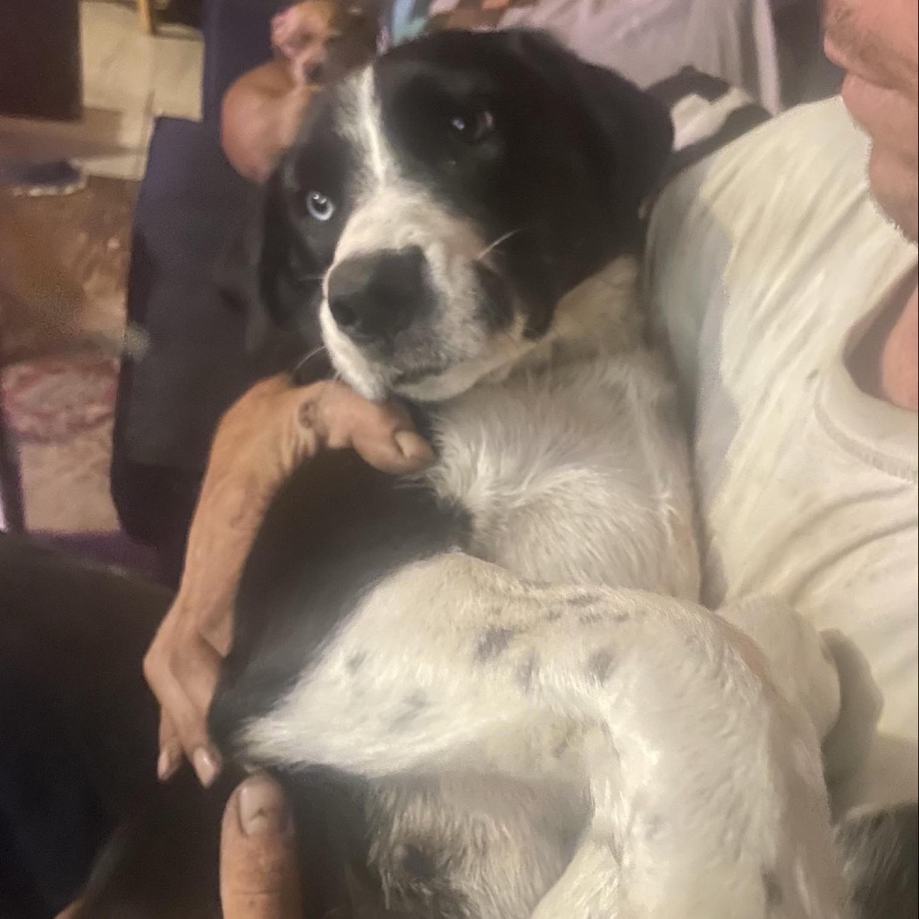 Poppy - Dog Friendly & Loves Treats!