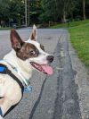 Riley photo 2