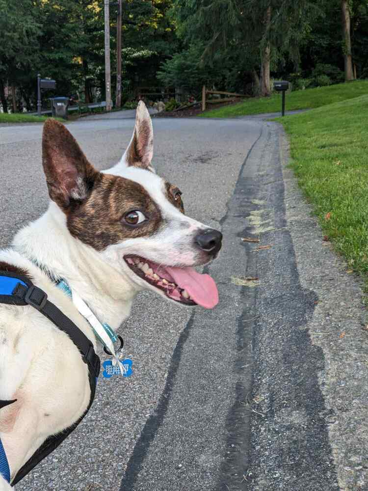 Riley