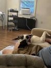 Riley photo 6
