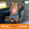 Flynn photo 2