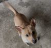Tito photo 3