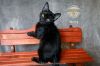 Morty photo 1