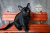 Morty photo 2
