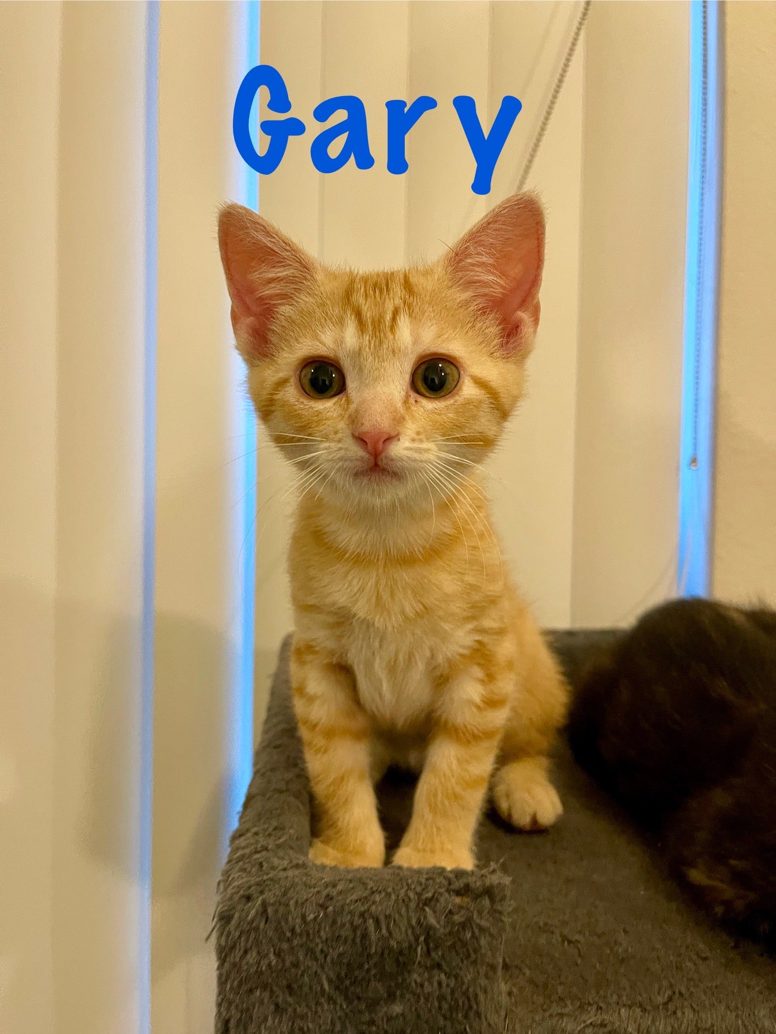 Gary