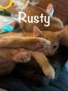 Rusty photo 2
