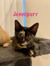 Jennipurr photo 2