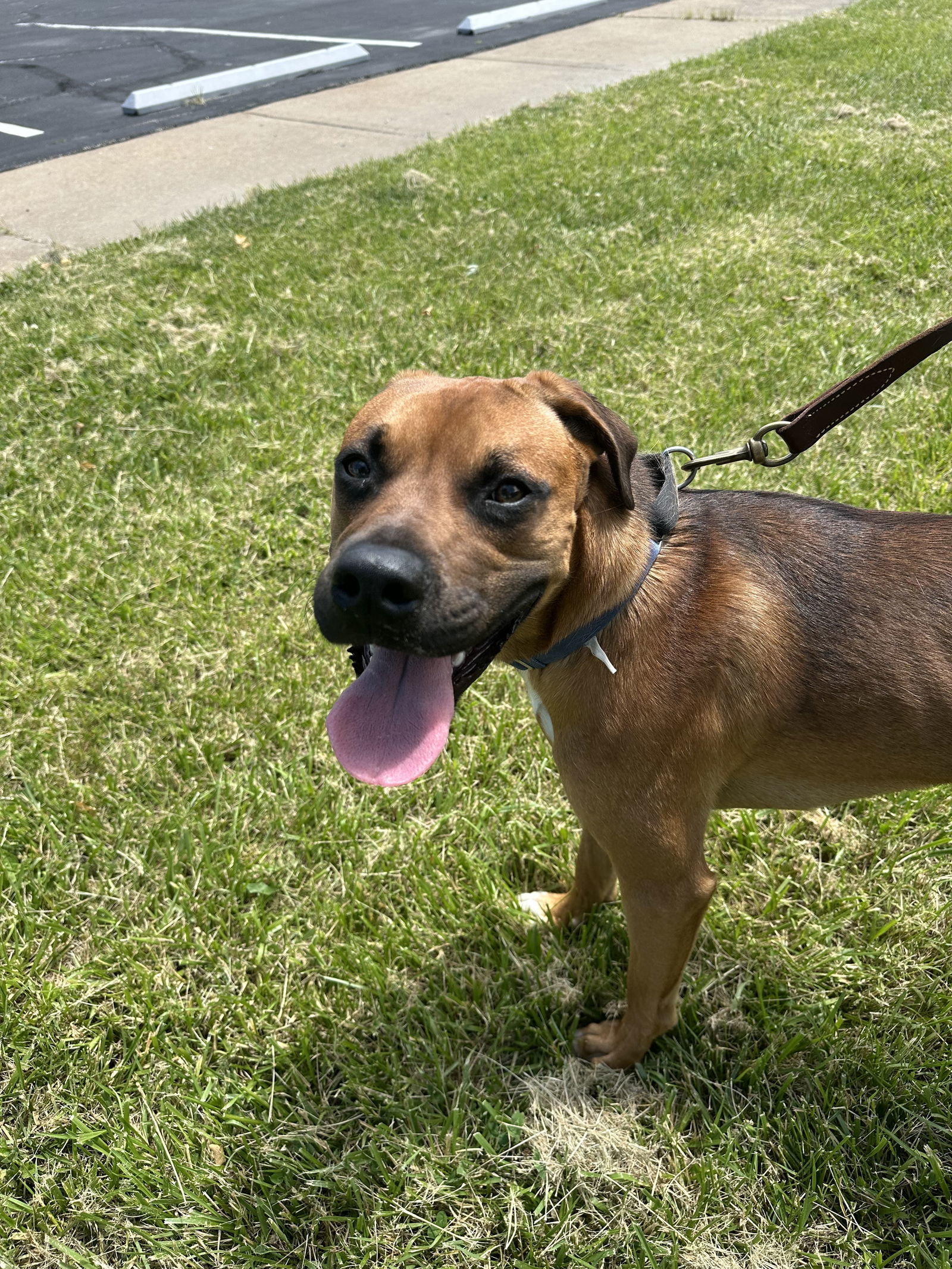 Roscoe