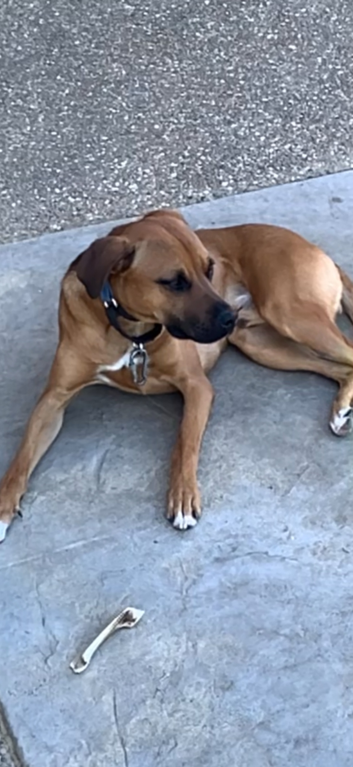 Roscoe- courtesy post