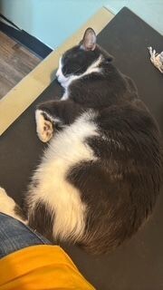 Gabe