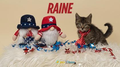 Raine