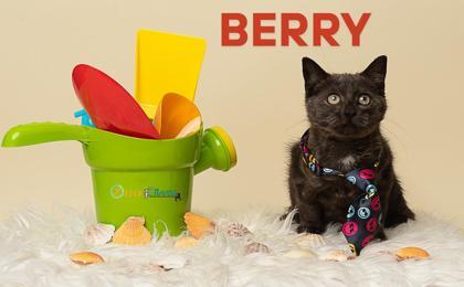 Berry